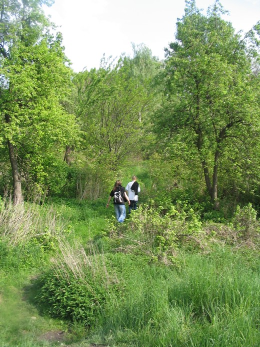 Kana� zasilaj�cy ko�o GZUT