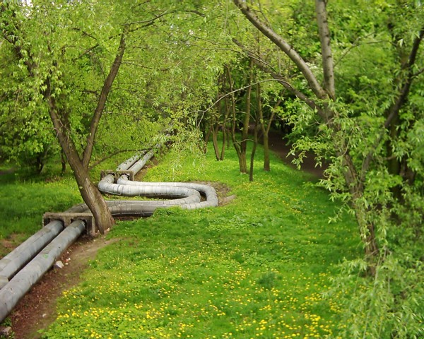Częstochowska