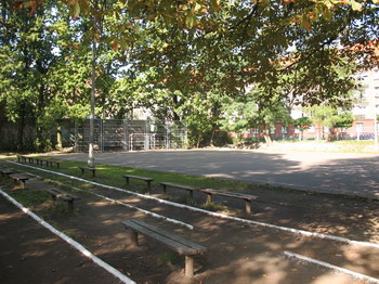 lic2009_05.jpg