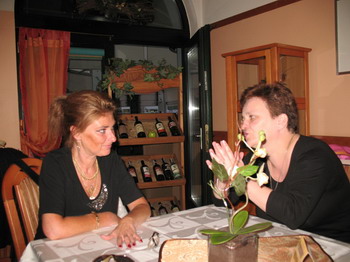 lic2009_35.jpg